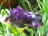 darkk vader_1024x768.webp