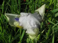 013_1024x768.webp
