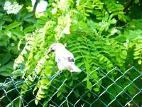 P1080146.webp
