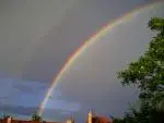 avatar69755_1.gif.webp