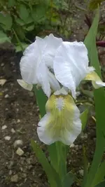 WP_20140513_001.webp
