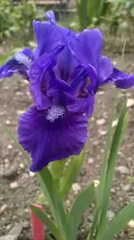 WP_20140513_002.webp