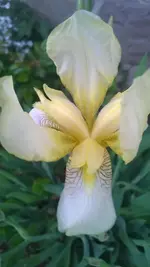 WP_20140513_003.webp