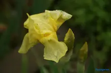 comp_DSC01285.webp