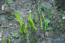 comp_DSC01170.webp