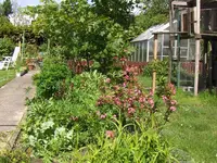 HPIM0559.webp