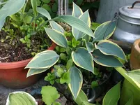 DSCF6043.webp