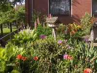 HPIM0577.webp