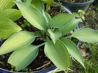 DSCF6042.webp