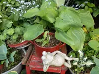 DSCF6034.webp