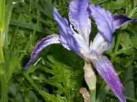DSCF6020.webp