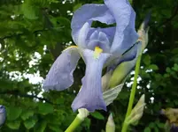 DSCF6022.webp