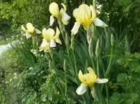 DSCF6023.webp