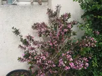 IMG_4638.webp