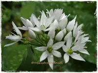 20.webp