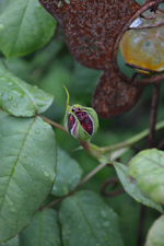 DSC_1379.webp