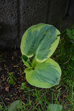 DSC_1395.webp