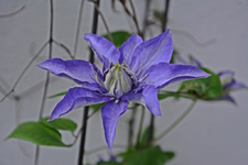 DSC_1377.webp