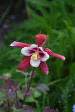 DSC_1381.webp
