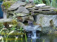 Badefreuden (2).webp
