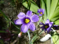P1080206.webp