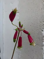 P1080081.webp