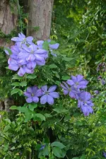DSC_1403.webp