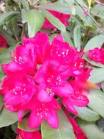 image.webp