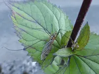 P1080248.webp