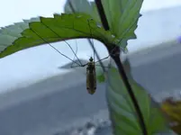 P1080250.webp