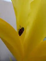 P1080241.webp