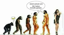 Evolution.webp