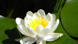 DSCN2931.webp