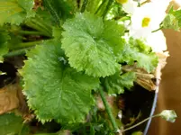 P1000440.webp