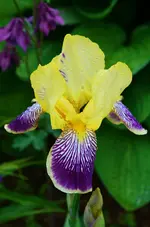 von Barbara.webp