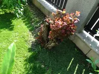 DSC01150.webp