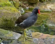 DSC_1347.webp