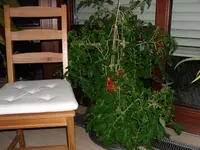 SAM_0002.webp