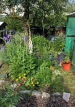 Garten1.webp