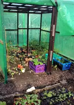 Tomatenhaus33.webp
