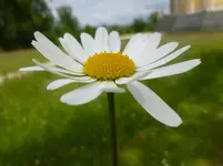 P1120837.webp
