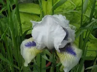001_1024x768.webp