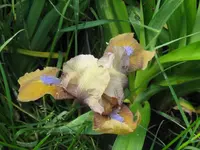 002_1024x768.webp