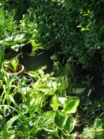 015_576x768.webp