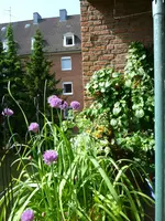 Kräuterkasten.webp
