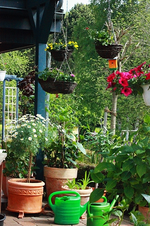 Sommer auf der Terrasse1_grün_500.webp