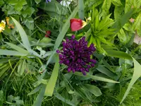 tmp_IMG_20140517_164657-662150746.webp