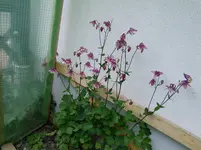 tmp_IMG_20140517_164557-1699884083.webp