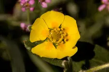 Stg 14-05-16-2137.webp