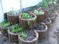 Kräutterbeet.webp